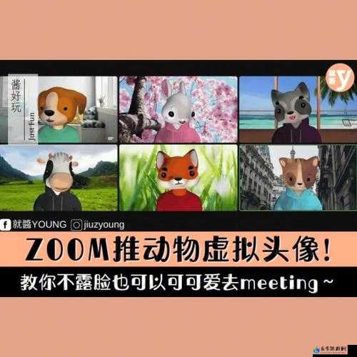 动物 Zoom 合作项目：让交流更有趣