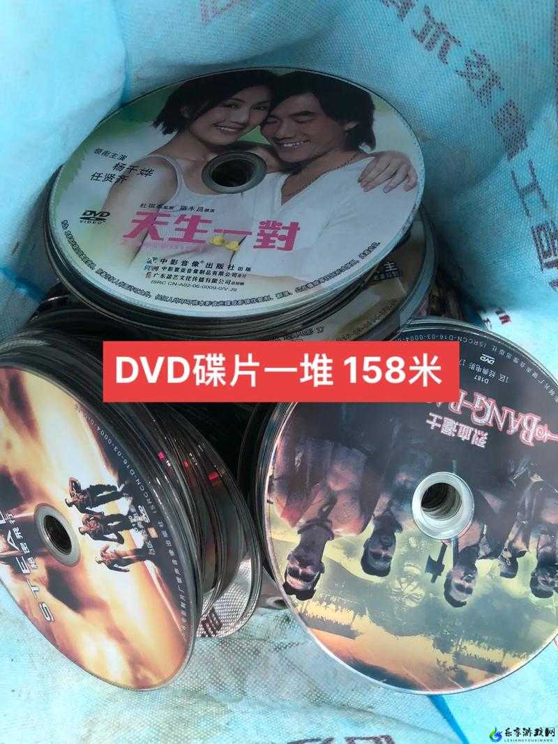 高清 DVD 碟片播放：优质画质，震撼体验