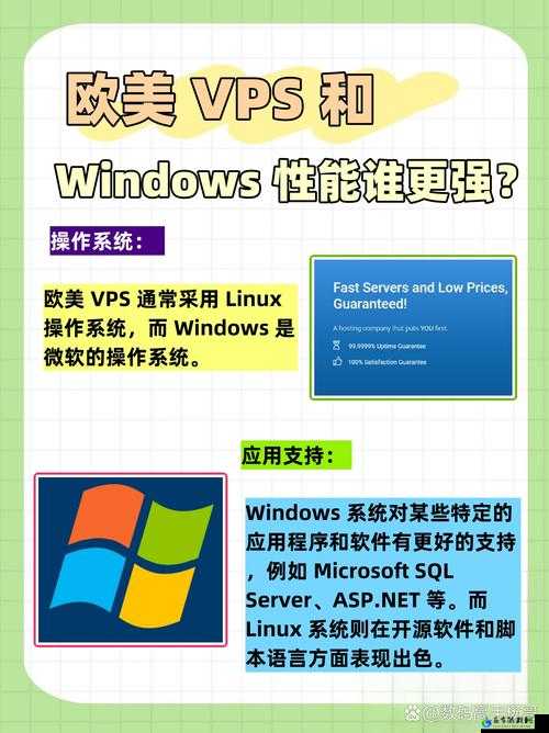 欧美 VPS 与 Windows 性能比较：选哪个更适合你？