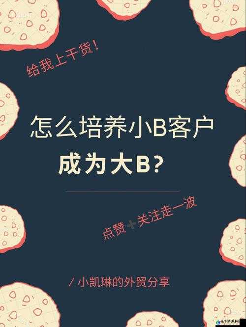 B 大与小的区别：深度解析其差异所在