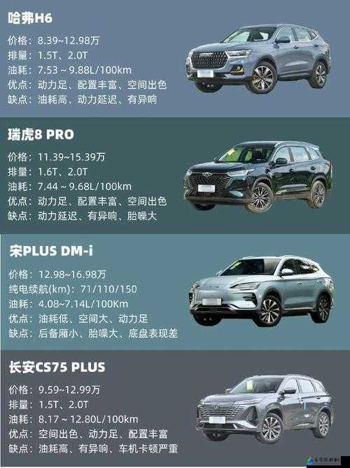 国产 SUV 精品一区二区：车型介绍