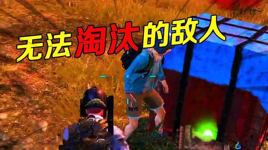 CS16Napos 视频：精彩瞬间不容错过