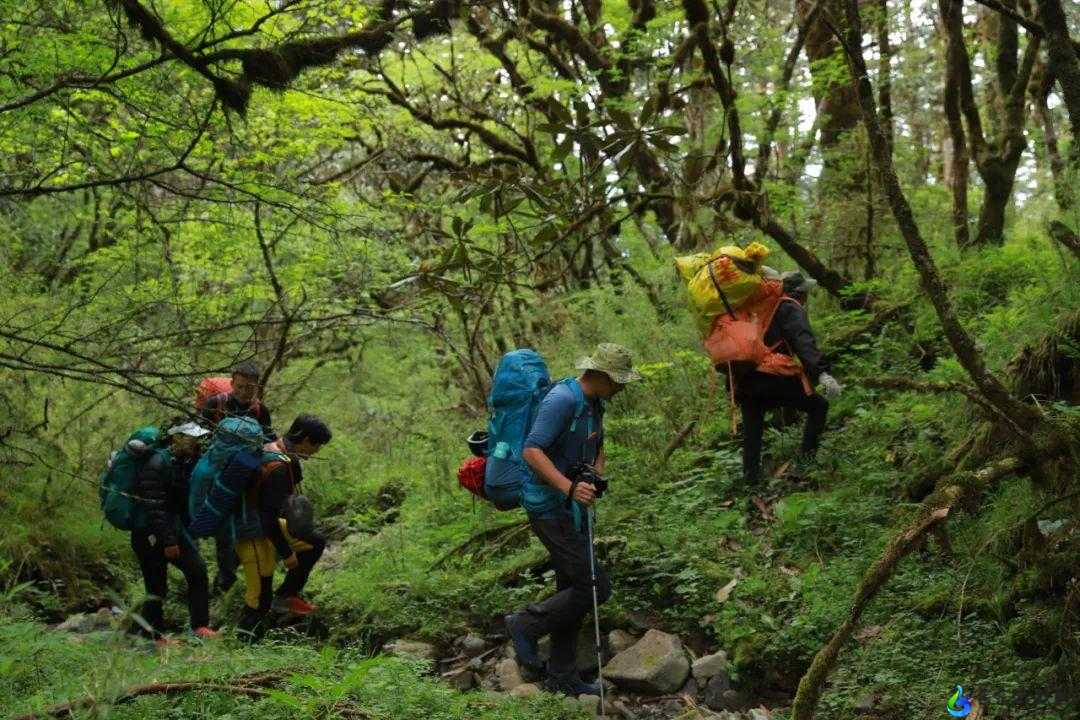 国产精品户外野外：探索自然的精彩之旅