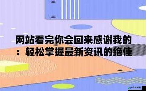 深夜网站：你会回来感谢我的精彩呈现