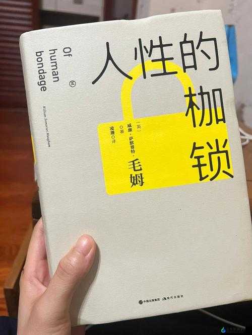 抬头看镜子里的接合 处：探索其背后的意义