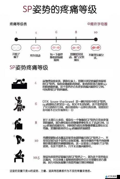 SP 小圈：每天挨打任务表及相关内容