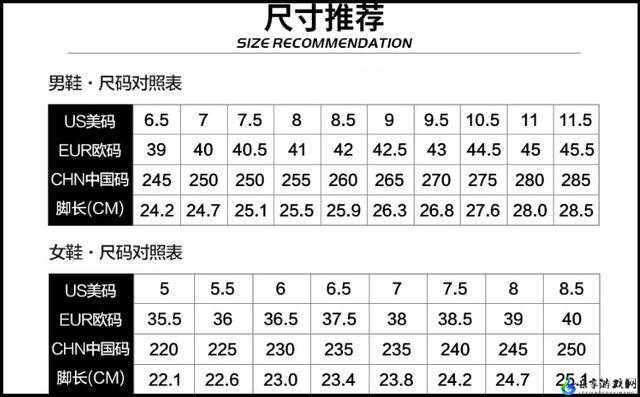 亚码 L 与欧码 L 区别在哪：尺码差异解析