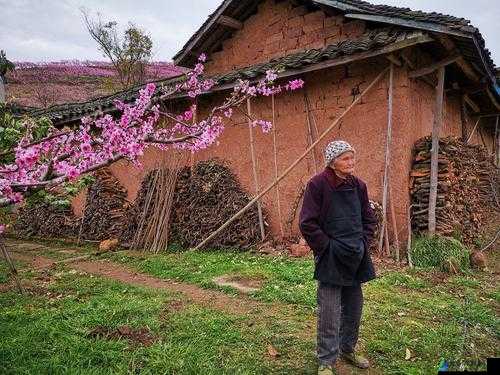 重游母亲桃花源：追忆往昔美好时光