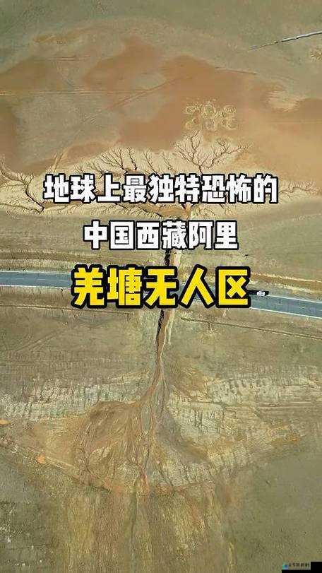 精品无人区一区二区三区：独特的区域划分特点