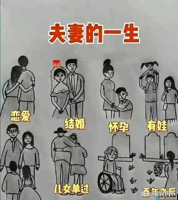 JAVAPARSERHD 夫妻：爱的相伴之旅