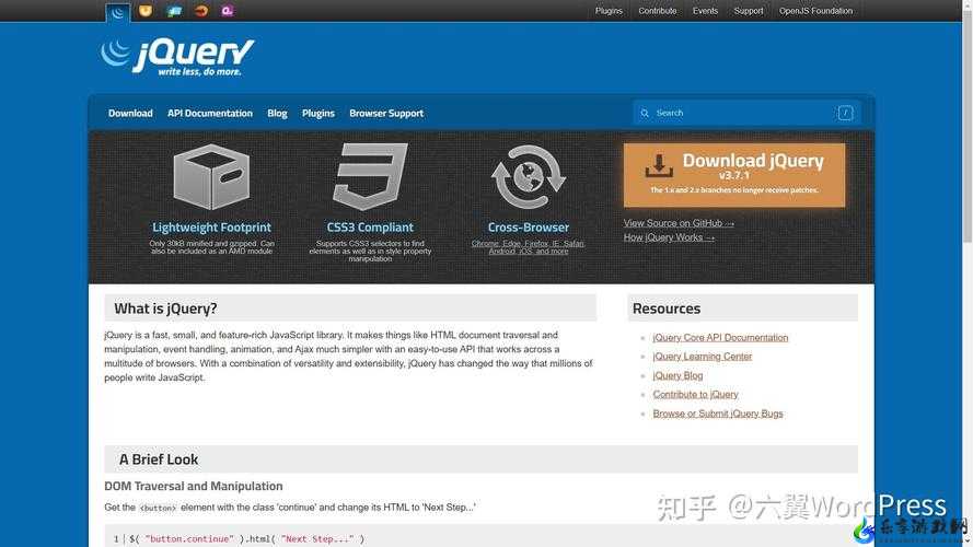 WordPress 成品网站：优质建站之选