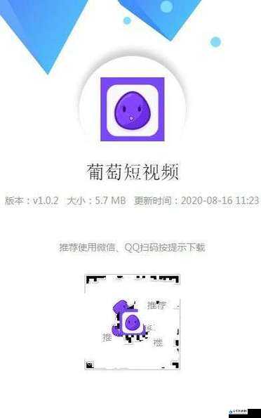 成品短视频 app 下载：XX、XX 等软件推荐