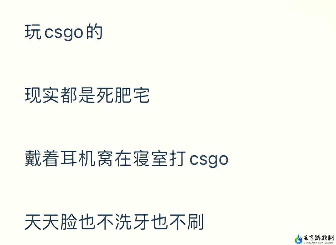 暴躁老阿姨CSGO 剧情解析：深度剖析与精彩回顾