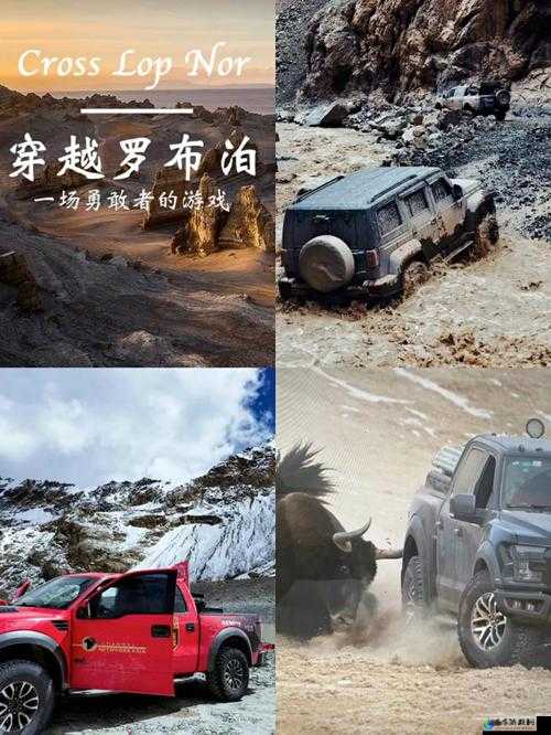 欧洲无人区码 SUV：探索未知的终极冒险